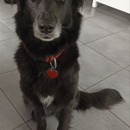 Mimi profile