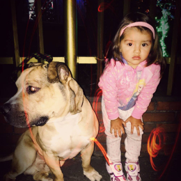 Jorge andres profile