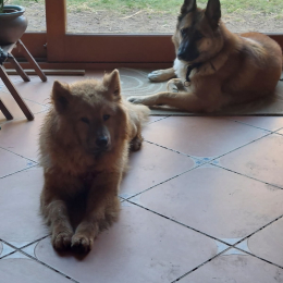 Lou et vénus profile