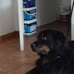 Billy profile