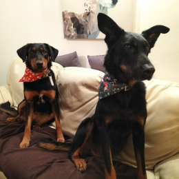 Bandit et rita profile