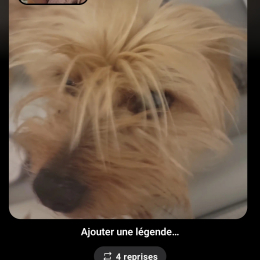 Lenny profile