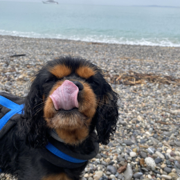 Review of Maëva's profile