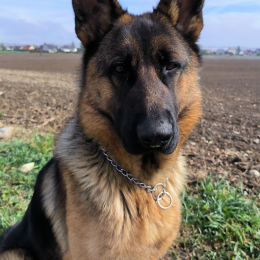 Vicky profile