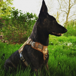 Iska profile