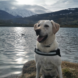 Jody profile