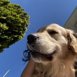 Sofia profile