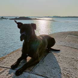 Un'joy profile