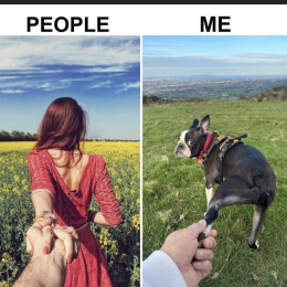 Escobar et gandhi profile