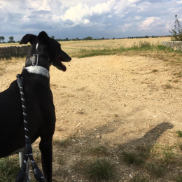 Emma profile