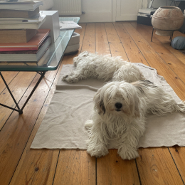 Frisca et blanket profile
