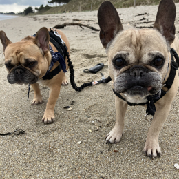 Izzia et olee profile