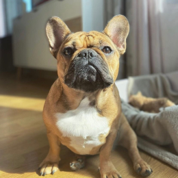 Ruby profile