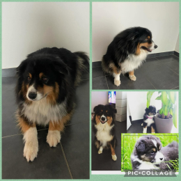 Cookie profile