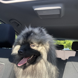 Milo profile