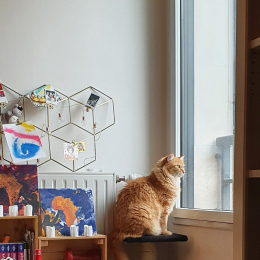 Mazigh profile