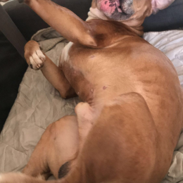 Lloyd profile