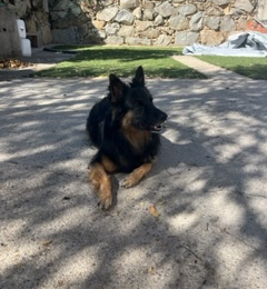 Paula profile