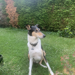 Peaky profile