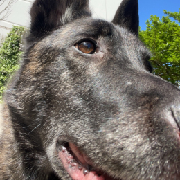 Maïky profile