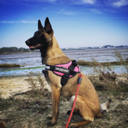 Oka profile