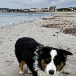 Martine profile
