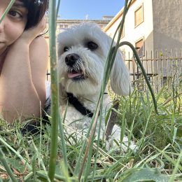 Cody profile