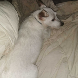 Coca et gergie profile