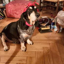 Gatsby profile