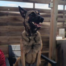 Mishka profile