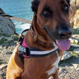 Shana profile