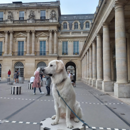 Rémy estran profile