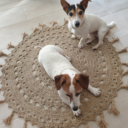 Fripouille et galipette profile