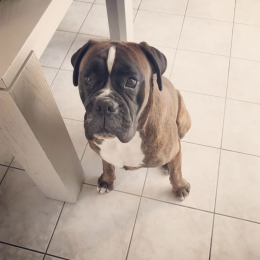Narco profile