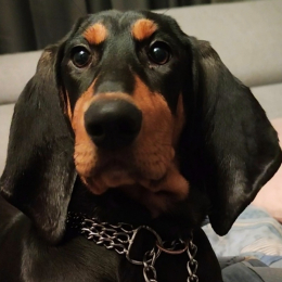 Poupette profile