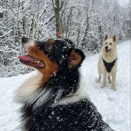 Ogan et nala profile