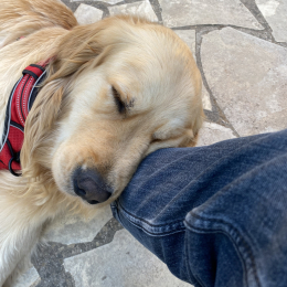 Milo profile