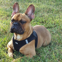 Ragnar profile