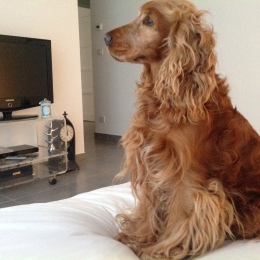 Severine profile
