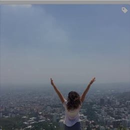 Lulo profile