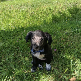 Mia profile