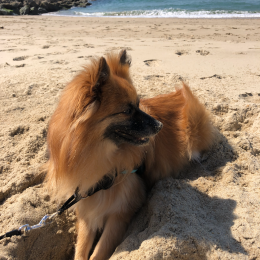 Yuki profile