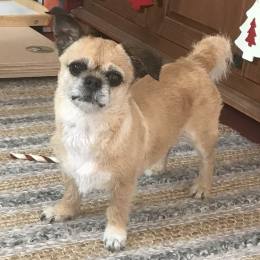 Maschka profile