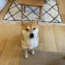 Mitsu profile