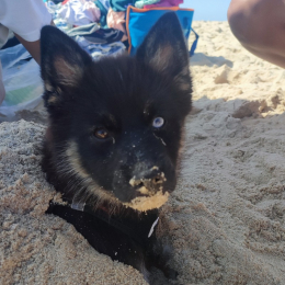 Léana profile