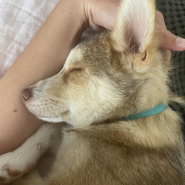Louise profile