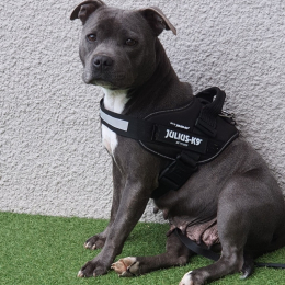 Olympe profile