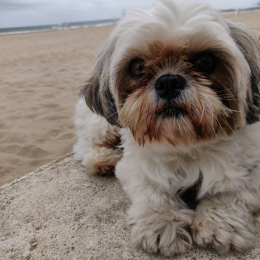 Macky profile