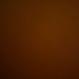 Ania profile