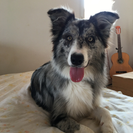 Tayko profile